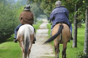 Equitation - Equinoxe