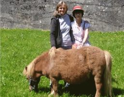 Equitation - Au pré des poneys je vivrai heureux